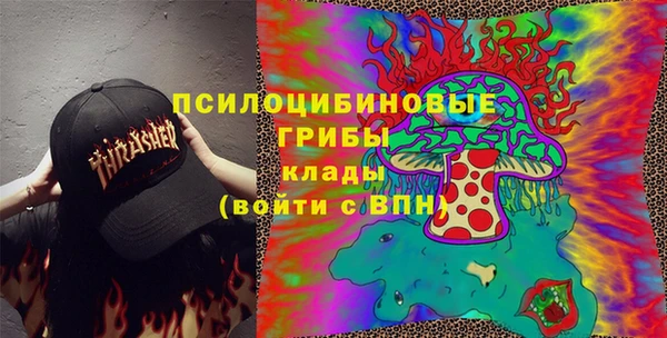 метамфетамин Козловка