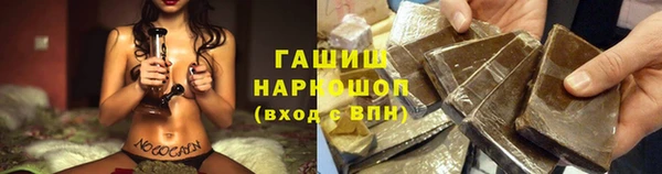 МДПВ Козельск