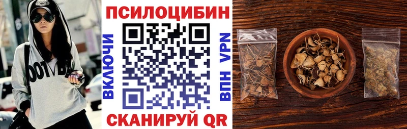 блэк спрут ТОР Киселёвск Галлюциногенные грибы Psilocybe наркошоп